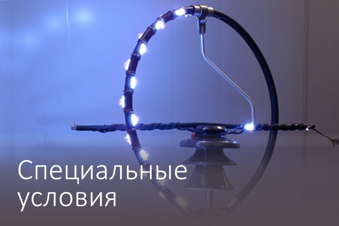 Спец условия.jpg