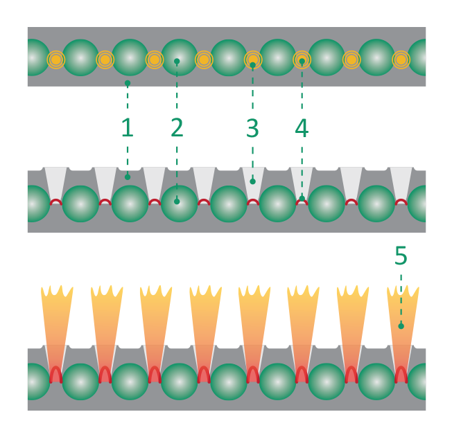 Diagram of discharge completion.png